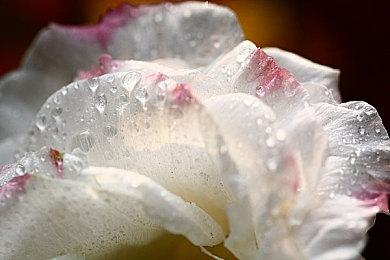 《Enshrouded》steam试玩上线 开放世界生存合作冒险